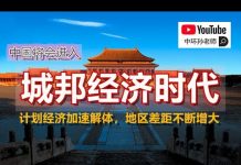 中环孙老师:重回计划经济将是压垮骆驼的最后一根稻草,计划经济将加速中国现行制度的解体