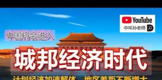 中环孙老师:重回计划经济将是压垮骆驼的最后一根稻草,计划经济将加速中国现行制度的解体