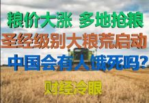 财经冷眼:粮价大涨,多地抢粮!圣经级别粮荒启动,中国会饿死人吗
