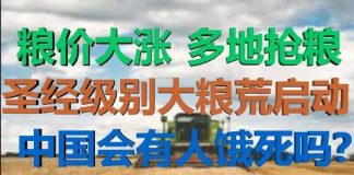 财经冷眼:粮价大涨,多地抢粮!圣经级别粮荒启动,中国会饿死人吗