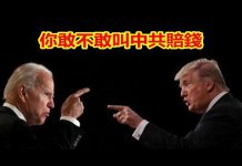 吴建民:谁让中共赔钱,谁就将会赢得大选!孟晚舟案昨天视频庭审