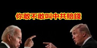 吴建民:谁让中共赔钱,谁就将会赢得大选!孟晚舟案昨天视频庭审