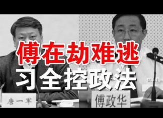 郭宝胜:习家军全控政法系严防政变,傅政华在劫难逃、王小洪或成刺杀总统的金载圭