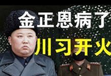 郭宝胜:台湾国安局确证金正恩病了,中共外交部说不会介入美国大选、川习已撕毁停火协议全面开火