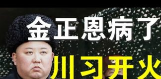 郭宝胜:台湾国安局确证金正恩病了,中共外交部说不会介入美国大选、川习已撕毁停火协议全面开火