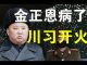 郭宝胜:台湾国安局确证金正恩病了,中共外交部说不会介入美国大选、川习已撕毁停火协议全面开火