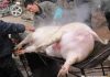 海风:习近平死猪不怕开水烫,他有五个不在乎