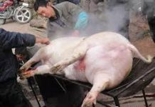 海风:习近平死猪不怕开水烫,他有五个不在乎