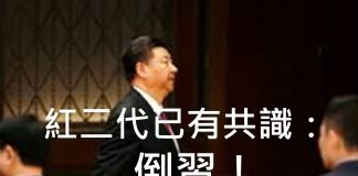 李一平:紅二代已形成共識:倒習!任志強還活著但終將被害;陳平想“穩變”