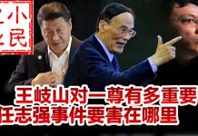 小民之心:王岐山对一尊有多重要 任志强事件要害在哪里?