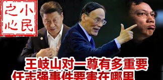 小民之心:王岐山对一尊有多重要 任志强事件要害在哪里?