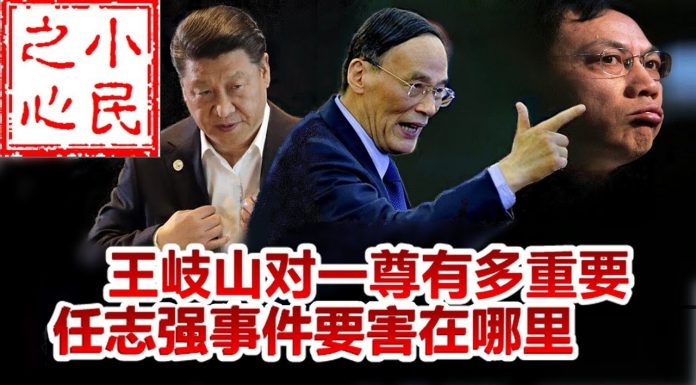 小民之心:王岐山对一尊有多重要 任志强事件要害在哪里?