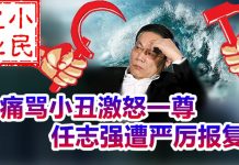 小民之心:痛骂小丑激怒一尊 任志强遭严厉报复