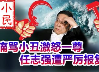 小民之心:痛骂小丑激怒一尊 任志强遭严厉报复