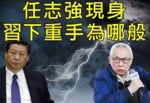 江峰:任志强正式被查辦,對照四年前,习近平怕的原來是它!