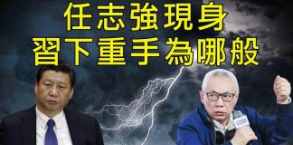 江峰:任志强正式被查辦,對照四年前,习近平怕的原來是它!