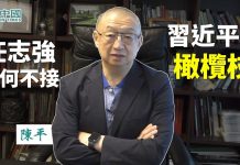 看中国【独家】红二代陈平(1):任志强为何不接习近平伸出的橄榄枝