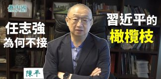 看中国【独家】红二代陈平(1):任志强为何不接习近平伸出的橄榄枝