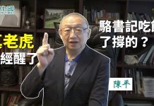 看中国:红二代陈平(2):骆书记是不是吃饱了撑的没事干!现在个个真老虎已经醒了