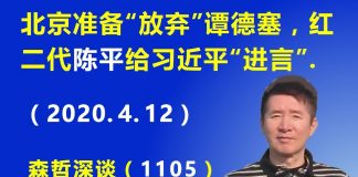 江森哲:北京准备“放弃”世卫组织总干事 谭德塞,红二代 陈平给习近平“进言”.