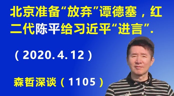 江森哲:北京准备“放弃”世卫组织总干事 谭德塞,红二代 陈平给习近平“进言”.