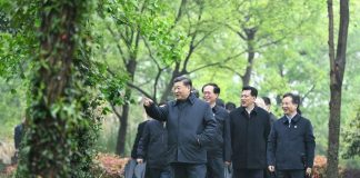 华尔街网报:钟院士背后大佬是许家印;习近平不做领袖做孙子