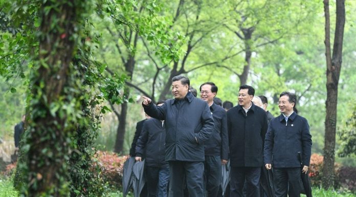 华尔街网报:钟院士背后大佬是许家印;习近平不做领袖做孙子