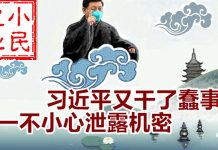 小民之心:习近平又干了蠢事 一不小心泄露机密