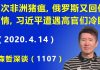 江森哲:上次非洲猪瘟,这次俄罗斯又回传疫情,习近平遭遇高官们的冷眼.
