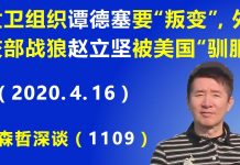 江森哲:世卫组织总干事 谭德塞要投靠美国“叛变“? 外交部战狼 赵立坚被美国“驯服”.