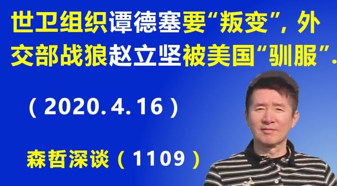 江森哲:世卫组织总干事 谭德塞要投靠美国“叛变“? 外交部战狼 赵立坚被美国“驯服”.
