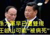 李一平:孫力軍站錯隊,11天前已遭雙規;王岐山躺槍,不作為可能“被病死”!
