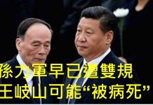 李一平:孫力軍站錯隊,11天前已遭雙規;王岐山躺槍,不作為可能“被病死”!