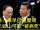 李一平:孫力軍站錯隊,11天前已遭雙規;王岐山躺槍,不作為可能“被病死”!