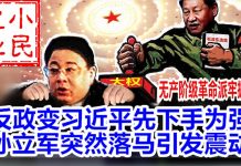小民之心:反政变习近平先下手为强 孙力军突然落马引发震动