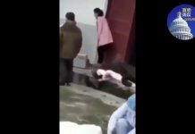 郭宝胜:惨无人道!武汉封城时公安大规模枪杀民众视频流出