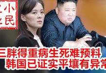 小民之心:三胖得重病生死难预料 韩国已证实平壤有异常