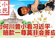 小民之心:为何川普小看习近平 赔款一尊莫非会答应