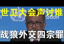 郭宝胜:世卫大会召开中共成众矢之的、中共智囊反思战狼外交四宗罪、杜伟猝死会促成改革吗?