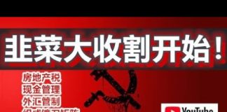 孙老师说财经:韭菜大收割开始!房地产税,现金管理,外汇管制组成镰刀矩阵,韭菜已无处可逃?
