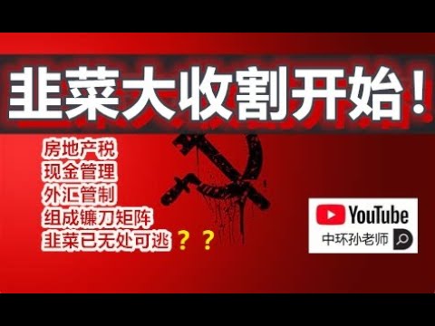 孙老师说财经:韭菜大收割开始!房地产税,现金管理,外汇管制组成镰刀矩阵,韭菜已无处可逃?
