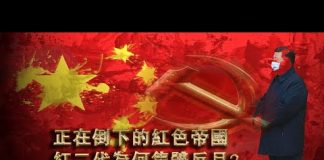 张杰:正在倒下的红色帝国 红二代为何集体反目? 三大误判和四大分歧