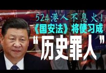 老北京茶館:习近平推翻邓小平朱镕基承诺!两会国安法再现灵异:英年早誓!524香港大游行:绝不投降!