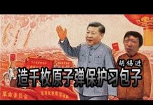林林七:胡锡进要造一千枚原子弹保护习包子?