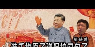 林林七:胡锡进要造一千枚原子弹保护习包子?
