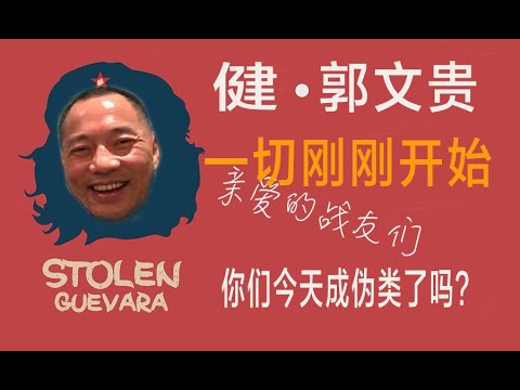 林林七:深入聊聊郭文贵现象