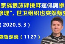 江森哲:北京战狼放肆挑衅 蓬佩奥惨遭“修理”,世卫组织也突然叛变