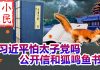 小民之心:习近平怕太子党吗 公开信和狐鸣鱼书