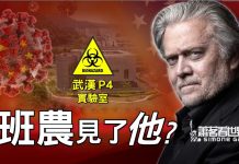 萧茗采访班农:你见了国内出逃科学家?央视为何选此时攻击你?美国情报机构有警告你吗?