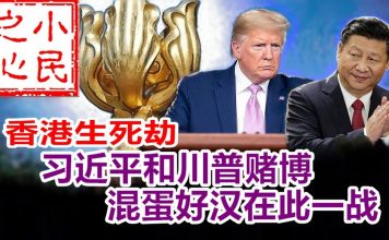 小民之心:香港生死劫:习近平和川普赌博 混蛋好汉在此一战